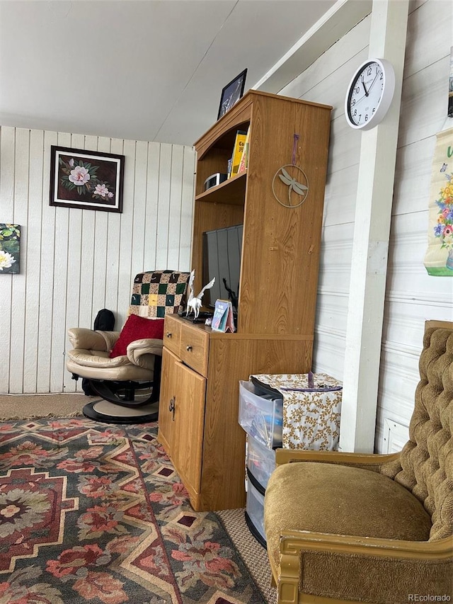 10795 County Road 197a Unit 194, Nathrop, CO 81236 - mudroom with wood walls and carpet floors