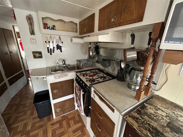 10795 County Road 197a Unit 194, Nathrop, CO 81236 - kitchen with range with gas stovetop, under cabinet range hood, and a sink