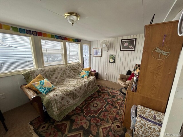 10795 County Road 197a Unit 194, Nathrop, CO 81236 - carpeted living room with wooden walls