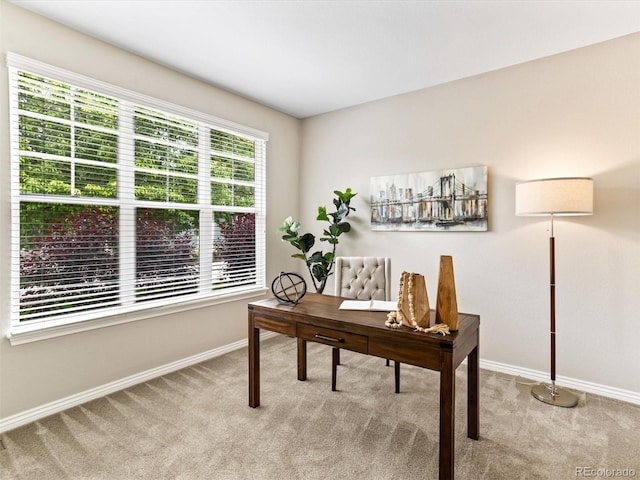 1836 S Kendall Ct, Lakewood, CO 80232 - office space featuring carpet and baseboards