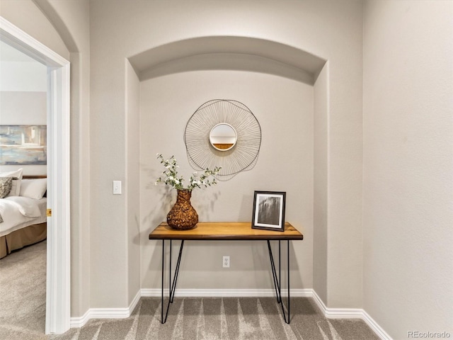 1836 S Kendall Ct, Lakewood, CO 80232 - detailed view of carpet and baseboards
