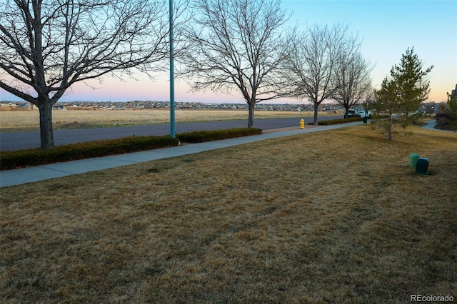 view of yard at dusk