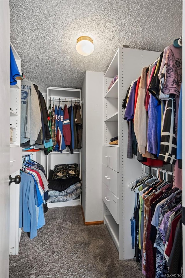 spacious closet with carpet