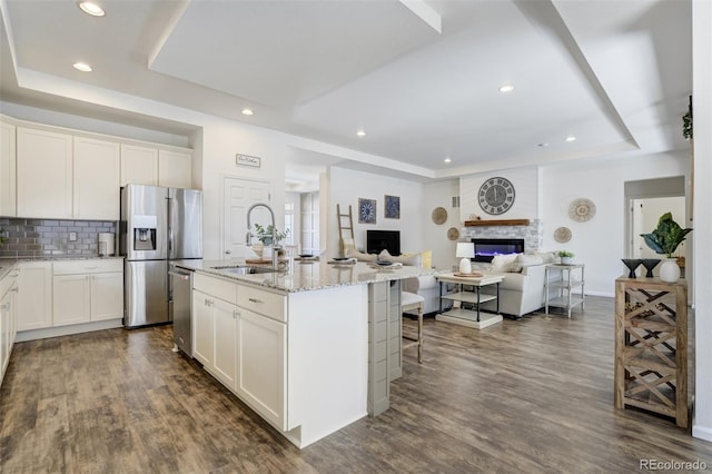kitchen featuring a raised ceiling, a sink, appliances with stainless steel finishes, a glass covered fireplace, and light stone counters