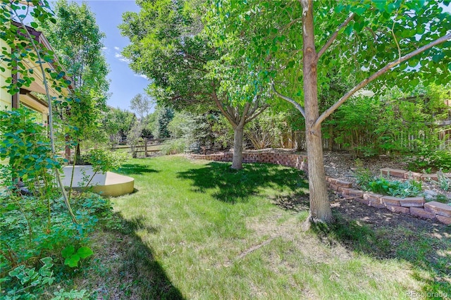 8651 Mallard Pl, Highlands Ranch, CO 80126 - view of yard