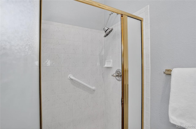8651 Mallard Pl, Highlands Ranch, CO 80126 - bathroom with a stall shower