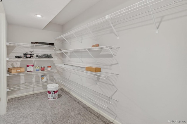 8651 Mallard Pl, Highlands Ranch, CO 80126 - view of spacious closet