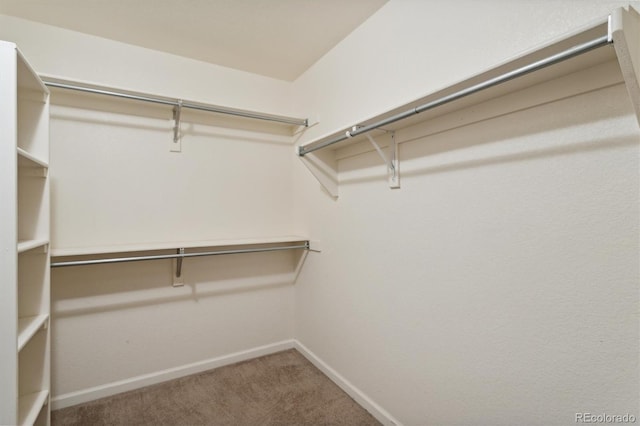 spacious closet with carpet flooring