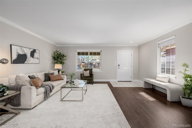 1653 S Logan St, Denver, CO 80210 - living room featuring wood finished floors and crown molding