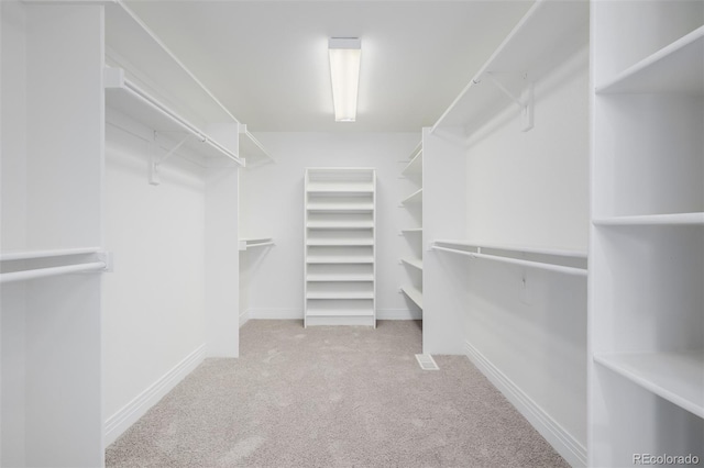 1653 S Logan St, Denver, CO 80210 - walk in closet with carpet