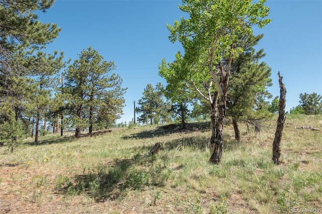 3126 Singletree Rd, Hartsel, CO 80449 - view of local wilderness