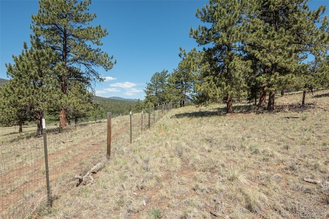 3126 Singletree Rd, Hartsel, CO 80449 - view of yard featuring a rural view