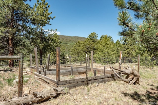 3126 Singletree Rd, Hartsel, CO 80449 - view of yard featuring a vegetable garden and a view of trees