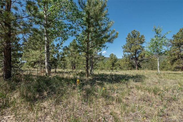 3126 Singletree Rd, Hartsel, CO 80449 - view of woods