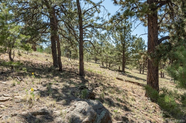 3126 Singletree Rd, Hartsel, CO 80449 - view of nature