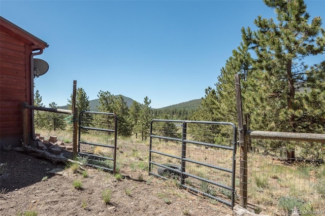 3126 Singletree Rd, Hartsel, CO 80449 - view of yard with a gate and a mountain view