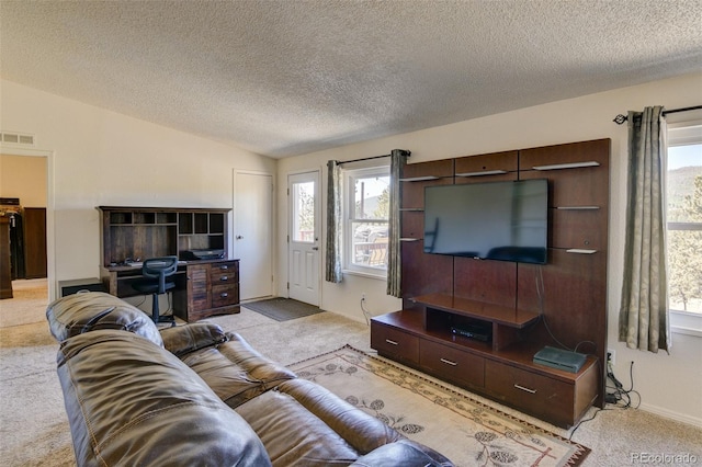 3126 Singletree Rd, Hartsel, CO 80449 - carpeted living area with a textured ceiling and vaulted ceiling