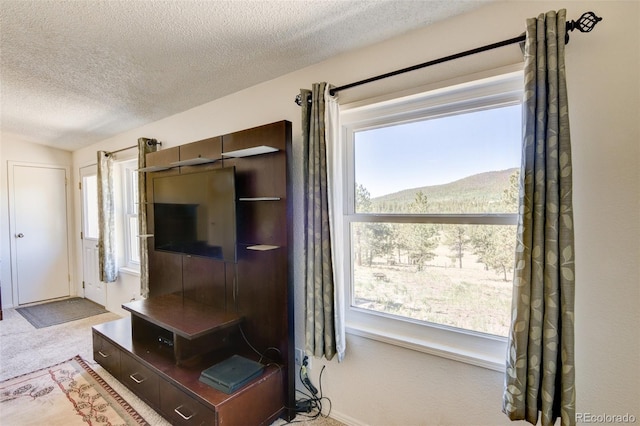 3126 Singletree Rd, Hartsel, CO 80449 - living area with a textured ceiling and healthy amount of natural light