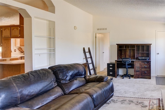 3126 Singletree Rd, Hartsel, CO 80449 - living room with lofted ceiling, a textured ceiling, light colored carpet, a desk, and arched walkways