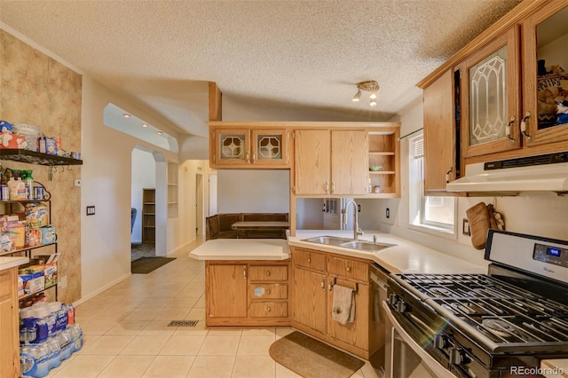 3126 Singletree Rd, Hartsel, CO 80449 - kitchen featuring appliances with stainless steel finishes, under cabinet range hood, arched walkways, light countertops, and light tile patterned floors