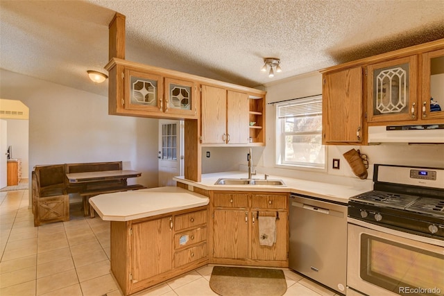 3126 Singletree Rd, Hartsel, CO 80449 - kitchen with stainless steel appliances, under cabinet range hood, a peninsula, light tile patterned floors, and light countertops