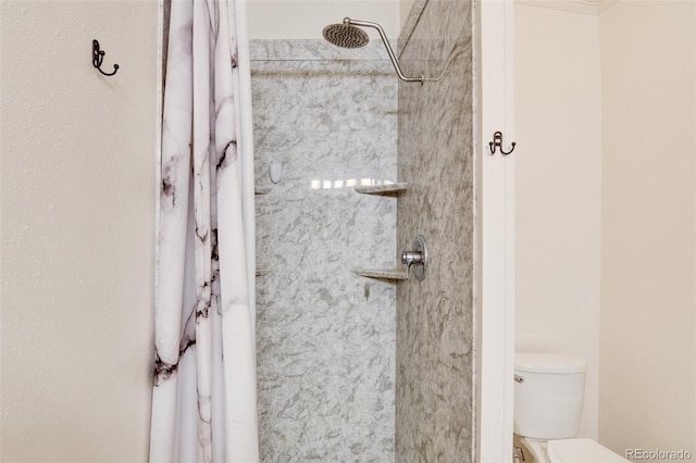 3126 Singletree Rd, Hartsel, CO 80449 - full bathroom with tiled shower and toilet