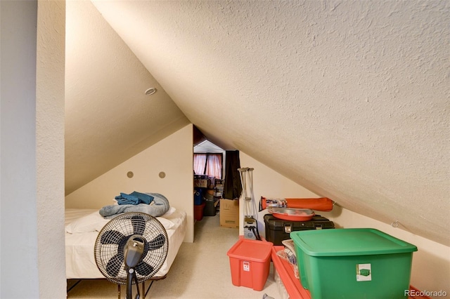 3126 Singletree Rd, Hartsel, CO 80449 - additional living space featuring a textured ceiling, lofted ceiling, and carpet