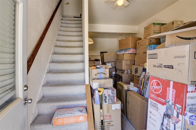 3126 Singletree Rd, Hartsel, CO 80449 - storage featuring a ceiling fan