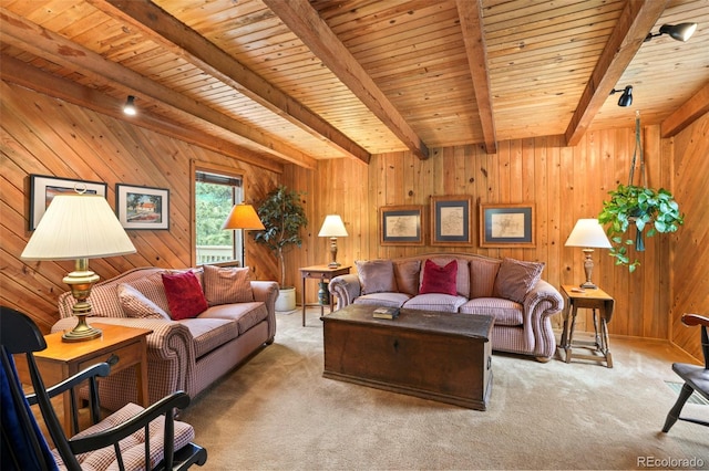 207 Kelly Rd E, Boulder, CO 80302 - living area with a wood ceiling with exposed beams, wood walls, and carpet