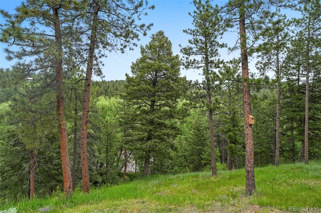 207 Kelly Rd E, Boulder, CO 80302 - view of tree filled area