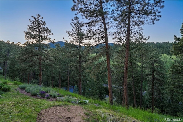 207 Kelly Rd E, Boulder, CO 80302 - view of mountain backdrop featuring a heavily wooded area