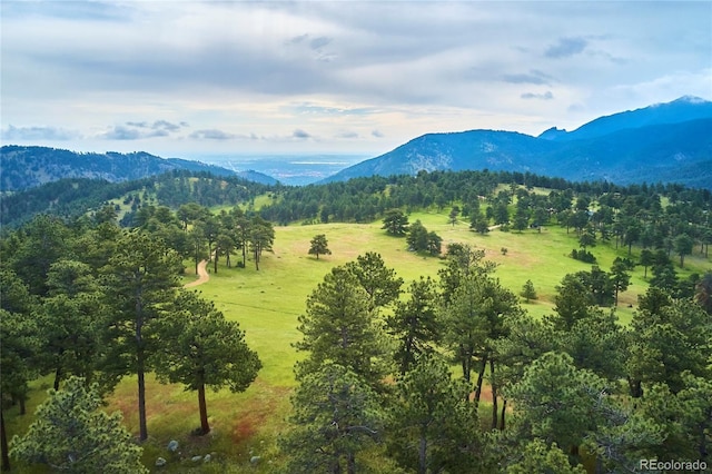 207 Kelly Rd E, Boulder, CO 80302 - view of mountain background