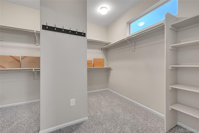 20145 E Fair Ln, Centennial, CO 80016 - spacious closet featuring carpet floors