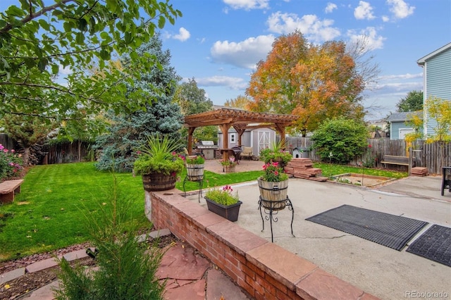 view of yard with a patio area, a pergola, and a shed