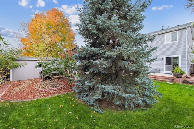 view of yard with a storage shed