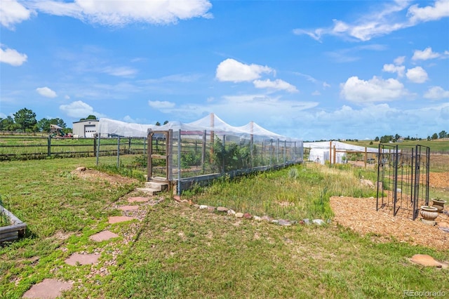 view of yard with a mountain view and a rural view