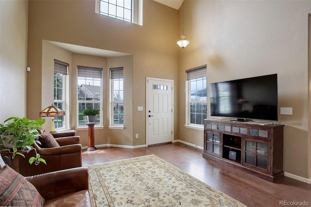 4784 Raven Run, Broomfield, CO 80023 - living room with baseboards, wood finished floors, and a high ceiling