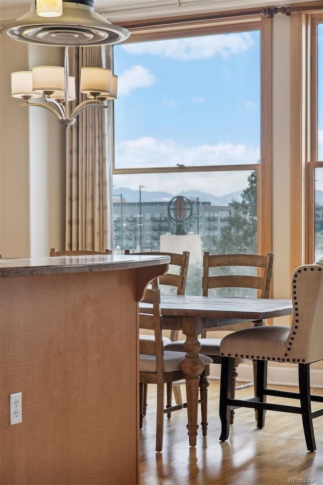 dining room with light hardwood / wood-style flooring and a wealth of natural light