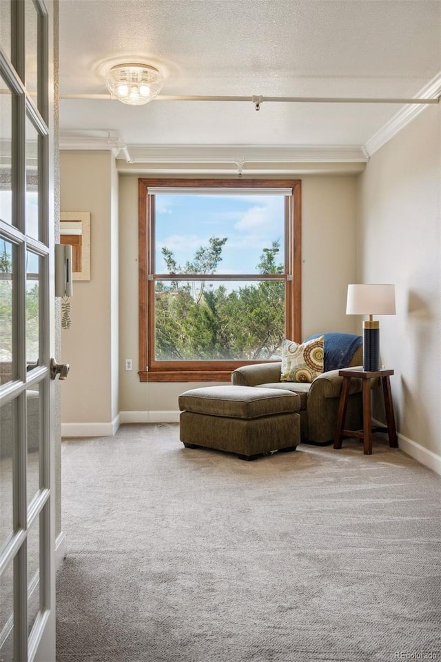 living area featuring crown molding, carpet flooring, and a textured ceiling