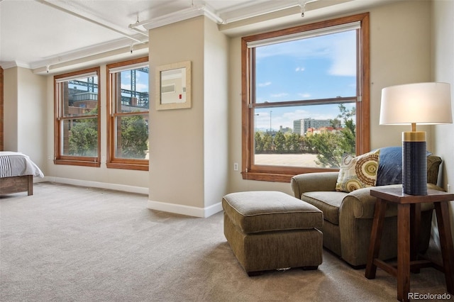 sitting room featuring ornamental molding and light colored carpet