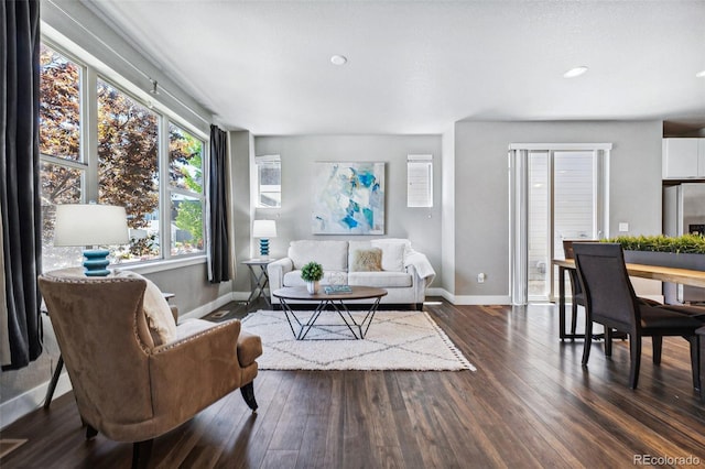 living room featuring dark wood-type flooring