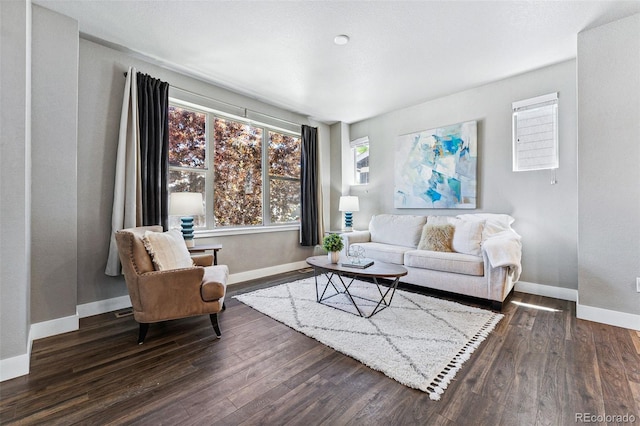 living room with dark hardwood / wood-style flooring