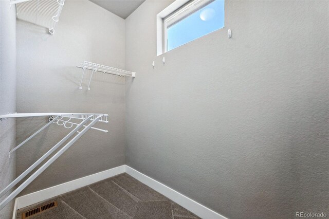 spacious closet with carpet