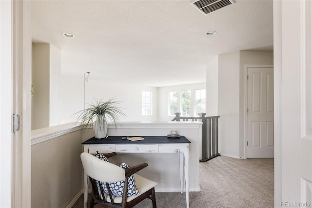 11403 S Birchwood Ct, Parker, CO 80138 - photo 22