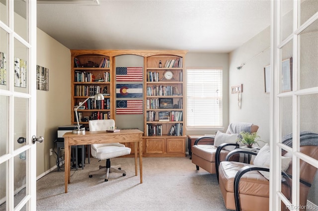 11403 S Birchwood Ct, Parker, CO 80138 - photo 23