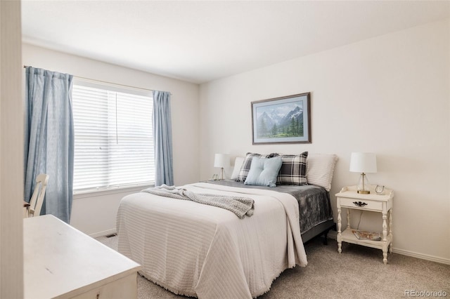 11403 S Birchwood Ct, Parker, CO 80138 - photo 24