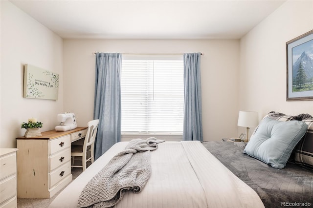 11403 S Birchwood Ct, Parker, CO 80138 - photo 25