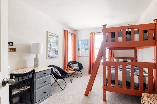11403 S Birchwood Ct, Parker, CO 80138 - photo 28