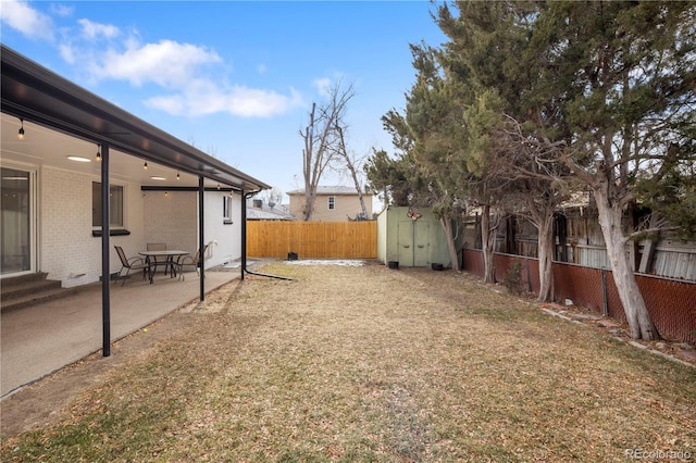 view of yard with a patio and a storage unit