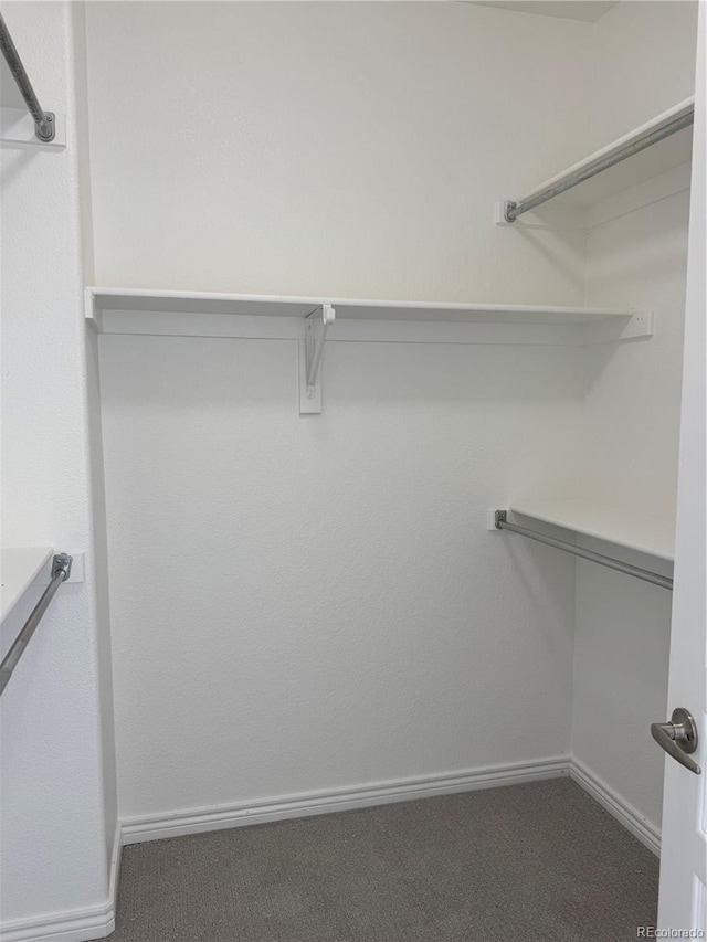 12317 W Gould Ave, Littleton, CO 80127 - walk in closet with carpet flooring